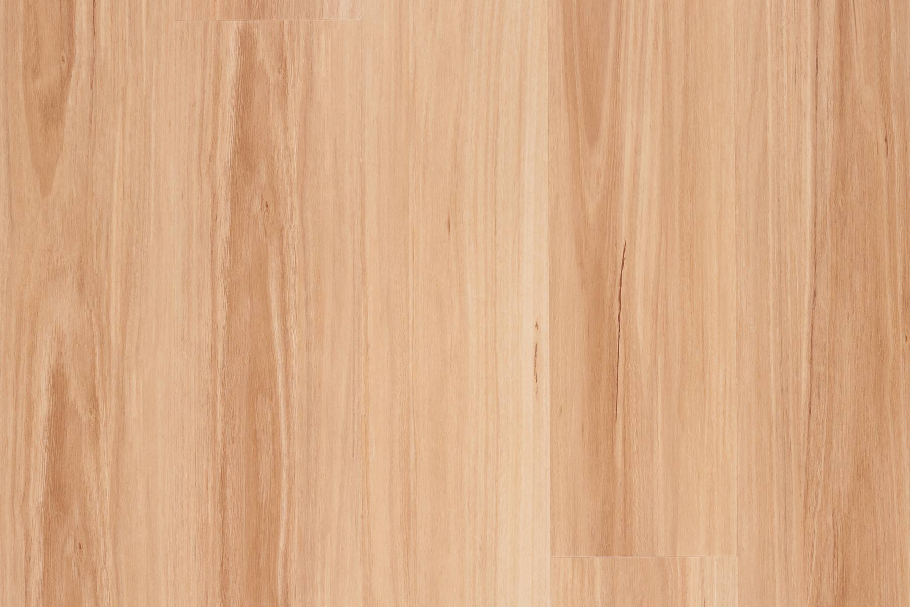 Genero Glades - Chiku Blackbutt