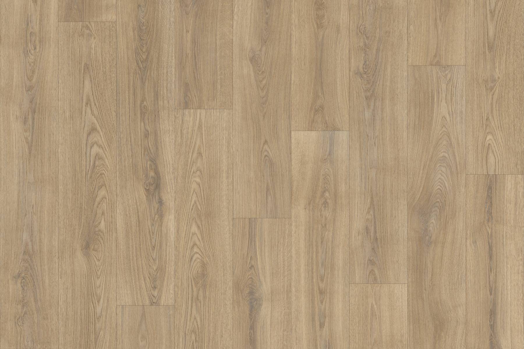 Tanami - Falcon Oak