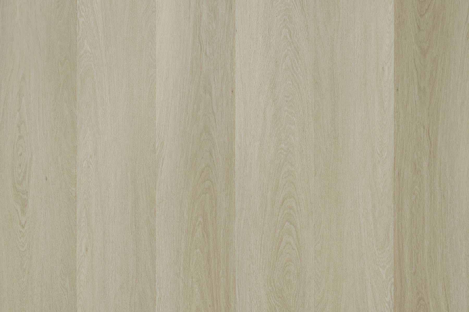 Panorama - Manton Oak