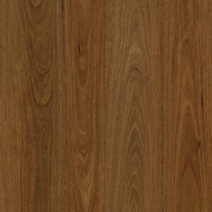 Genero Deluxe - QLD Spotted Gum