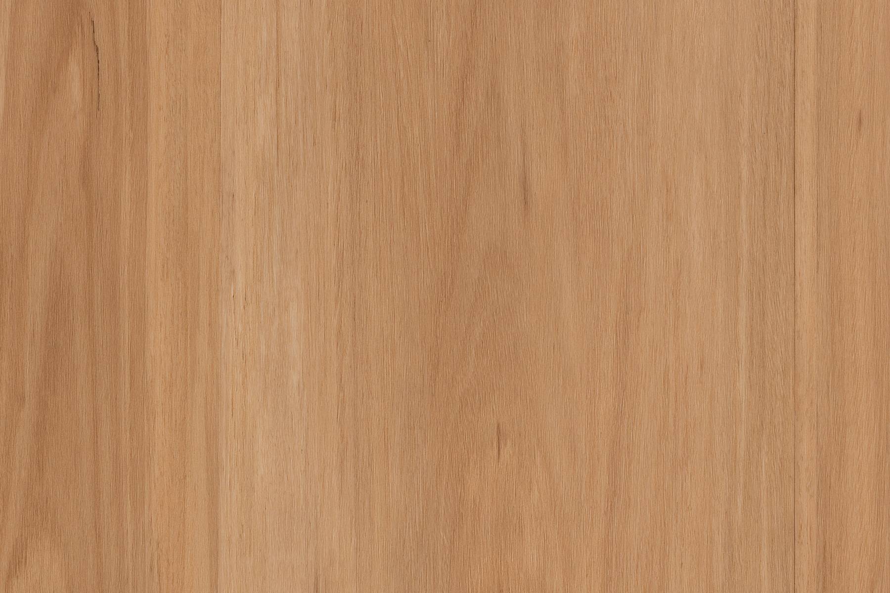 Genero Zenith - Redhill Blackbutt