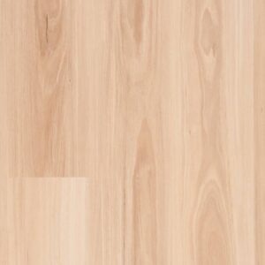 Genero Glades - Serisa Blackbutt