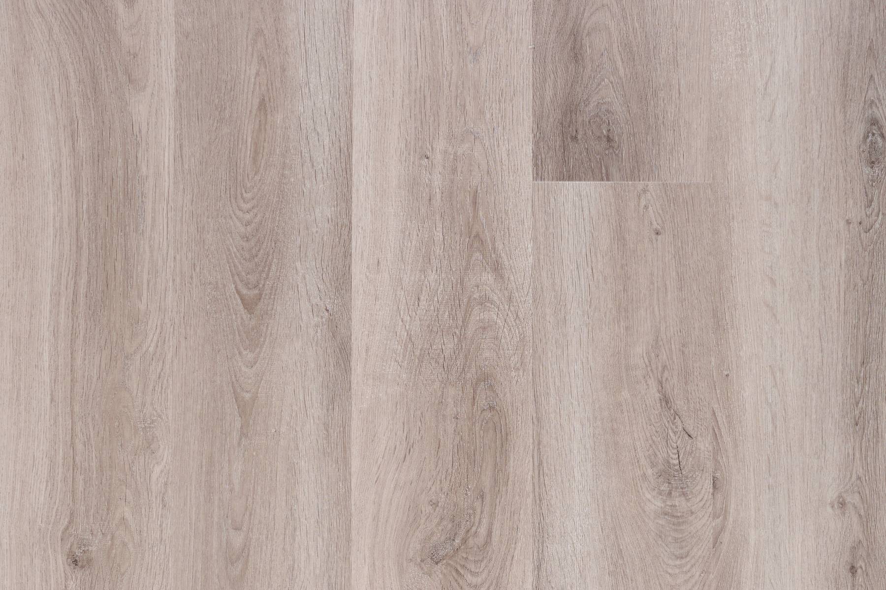 Genero Glades - Tanoki Oak